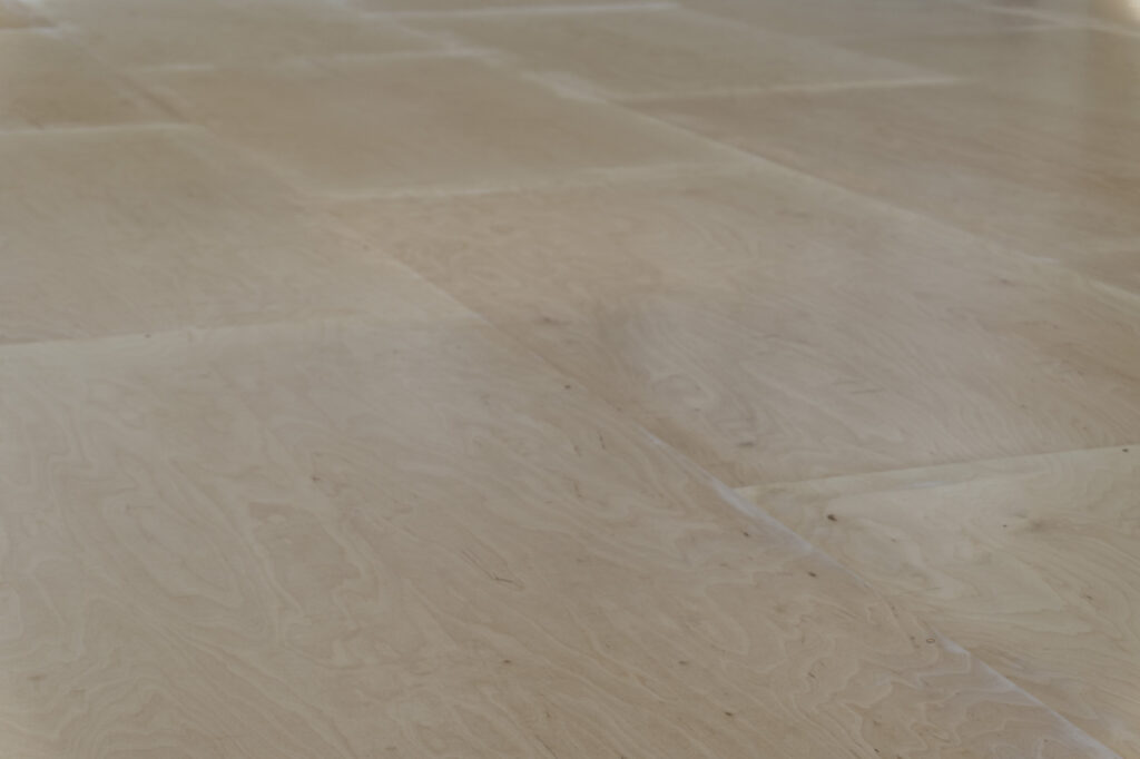 Wiese eG, Tanzsaal OG Ost